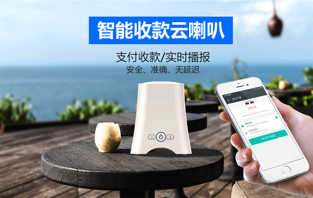 智能收款云喇叭：支付收款/实时播报